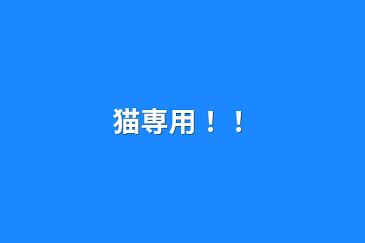 「猫専用！！」のメインビジュアル