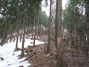 雪の脇を進む