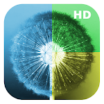 Cover Image of Download Wallpapers - Dandelion WallHub  APK