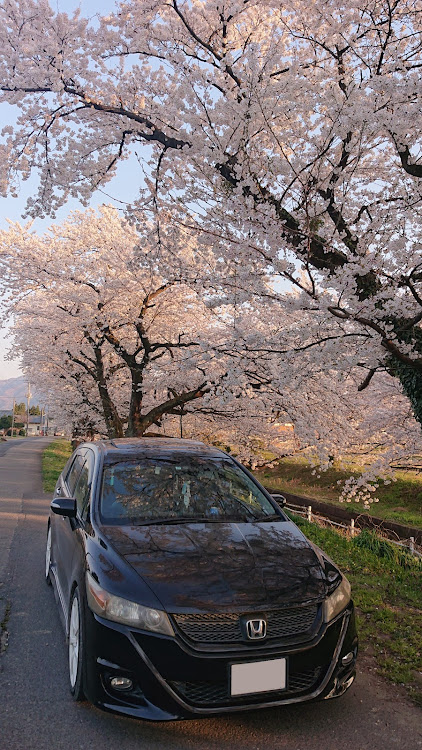 の投稿画像1枚目