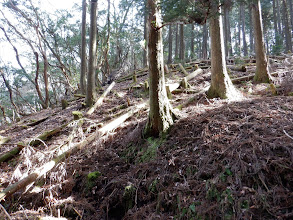 急斜面の登りに