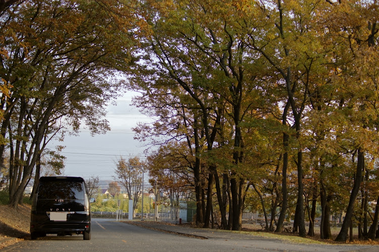 ヴォクシーの紅葉と愛車・撮影・ドライブに関するカスタム事例の投稿画像2枚目