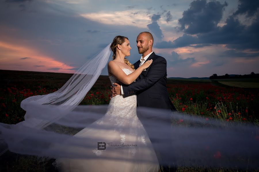 Wedding photographer Barnabás Fazekas (barnabasfazeka). Photo of 11 September 2018