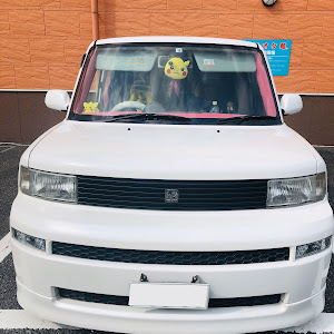 bB NCP31