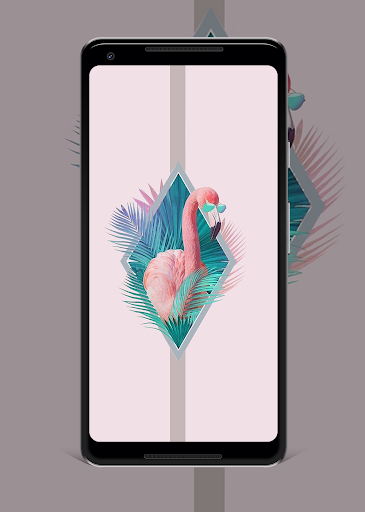 Download Cute Flamingo Wallpaper On Pc Mac With Appkiwi Apk Downloader
