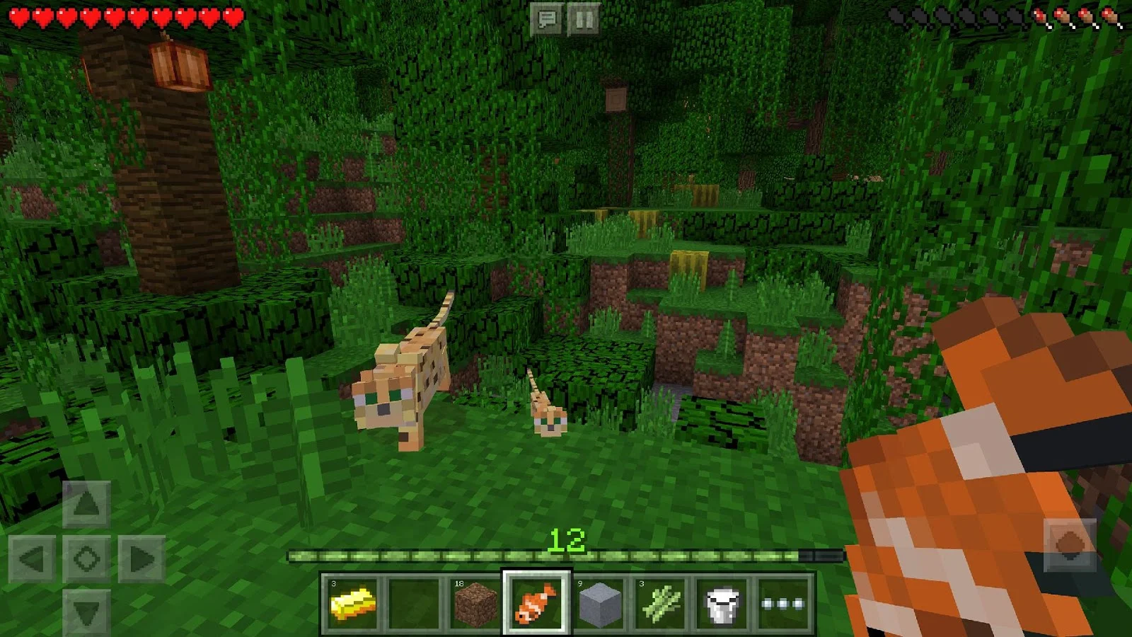   Minecraft: Pocket Edition- หน้าจอ 