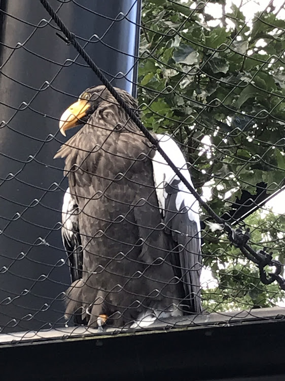 ナムさんが投稿した旭山動物園・北海道に関するカスタム事例の投稿画像2枚目