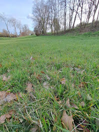 terrain à Moissac (82)