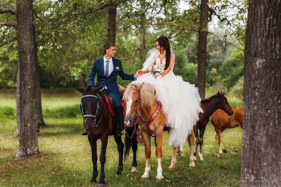 Photographe de mariage Aleksandr Milay (sanpenza). Photo du 12 mars 2016