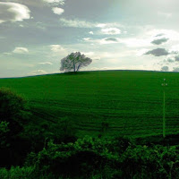 ALBERO DELLA VITA di 