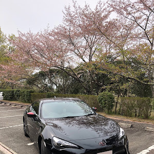 86