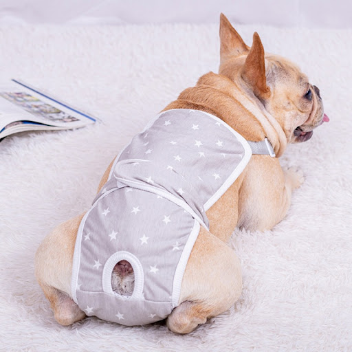 Title 6, French Doumu Dog Physiological Pants Female Pre...