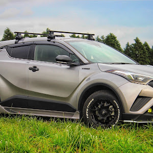 C-HR ZYX10