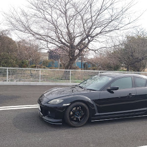 RX-8 SE3P