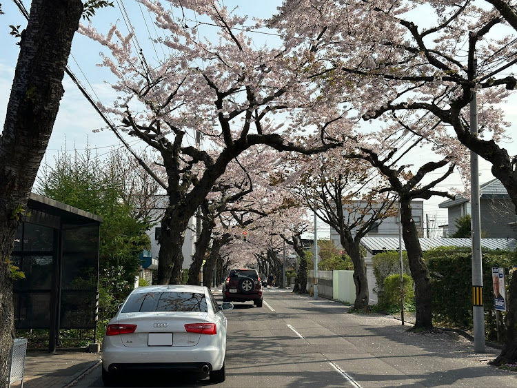 の投稿画像1枚目