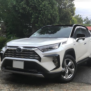 RAV4 AXAH54