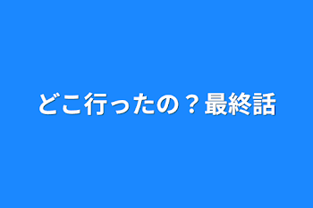 どこ行ったの？最終話