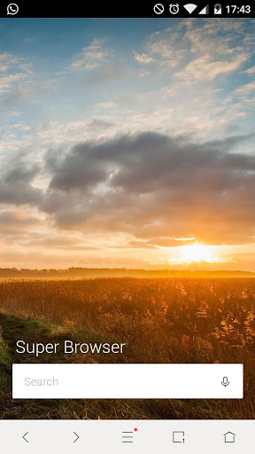 Super Browser