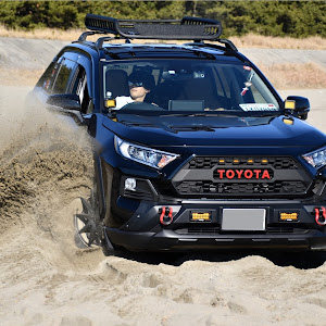 RAV4 MXAA54