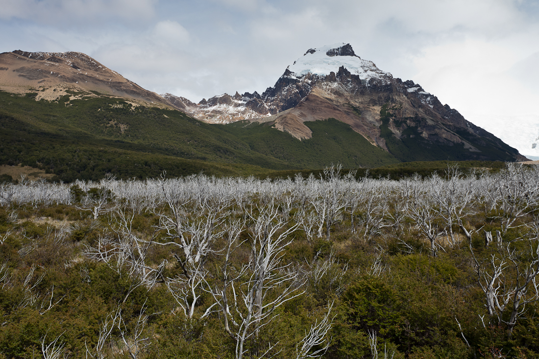 Патагония: Carretera Austral - Фицрой - Торрес-дель-Пайне. Треккинг, фото.