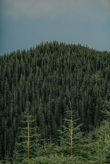 Vestuvių fotografas Denis Dobysh (soelve). Nuotrauka 2020 gegužės 23