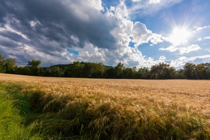 Dopo il temporale di smenega