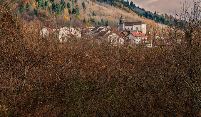 Un pò di ordine nel caos della natura di Moreno re