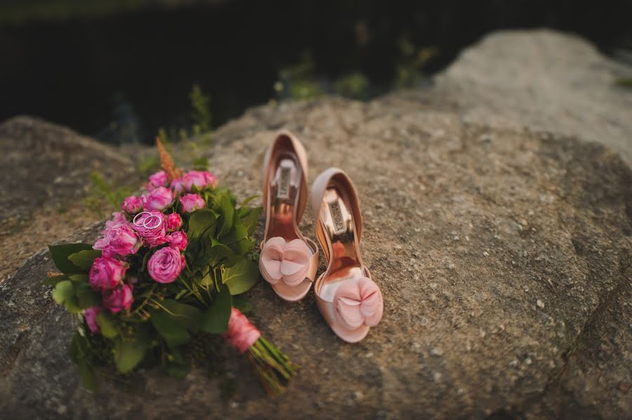 Wedding photographer Irina Frolova (irenlitvin). Photo of 30 September 2014