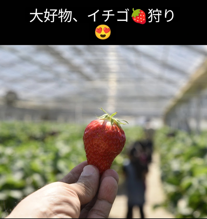ボクスタースパイダーの縦構図選手権・逮捕だぁ〜！✨🚔🚔🚔✨・イチゴ狩り🍓に関するカスタム事例の投稿画像7枚目