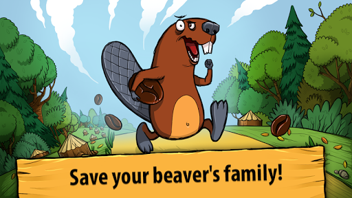 Beaver house builder