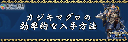 カジキマグロ