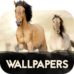 Cover Image of Скачать Wallpapers with horses 21.09.2018-horses APK