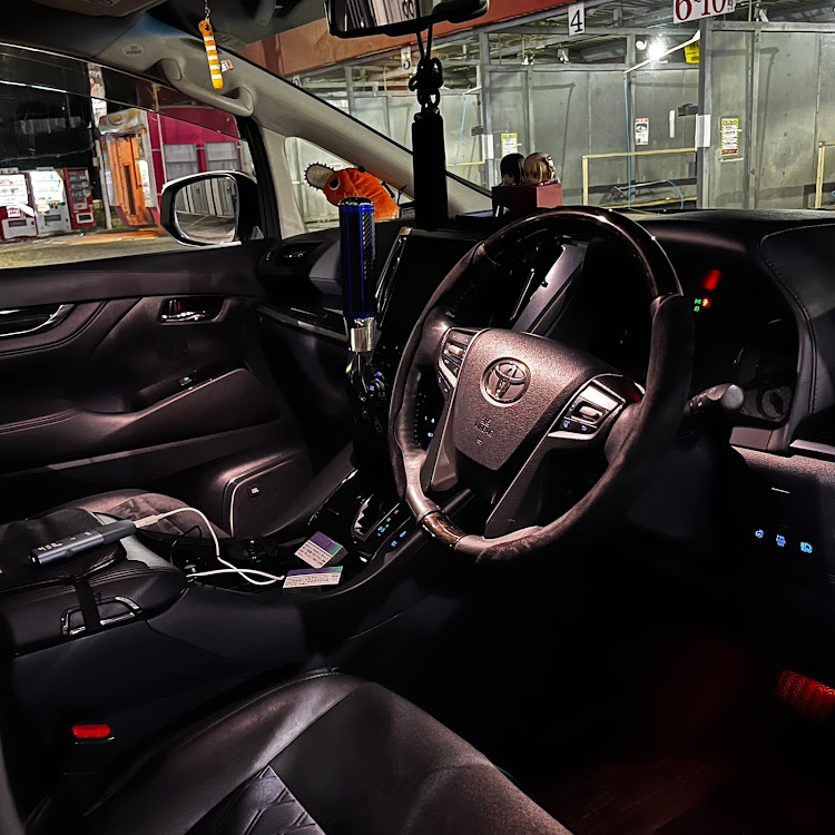 ヴェルファイアの洗車の頻度ってどのくらい？・暑い、、暑いぞおおお！！・熱中症に気をつけて!!・洗車に関するカスタム事例の投稿画像3枚目
