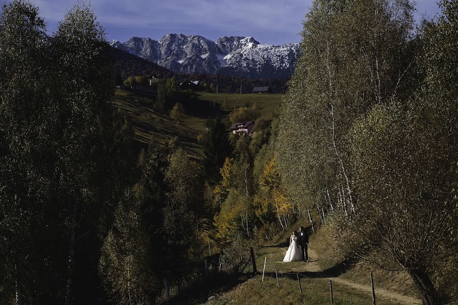 Fotografo di matrimoni Sergiu Nedelea (photolight). Foto del 1 novembre 2017