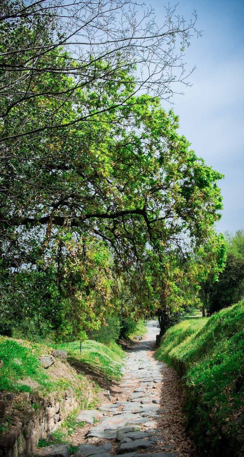 Riposo in natura  di francescoromito