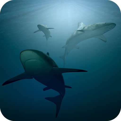 Underwater Wallpapers