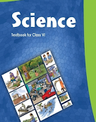 Science Textbook for Class 6  by NCERT