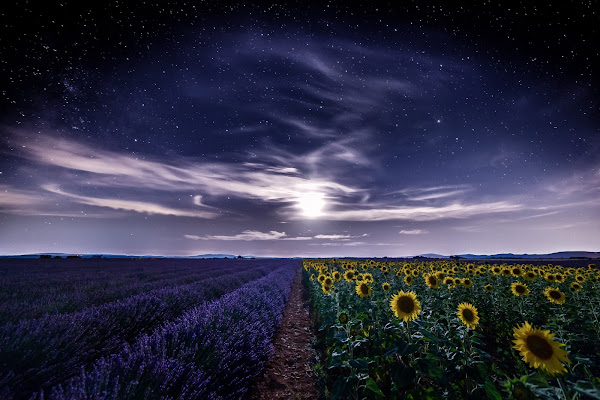 The way for the moon  di Nico Angeli Photography