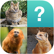 Animals Quiz (Picture Quiz) 1.0 Icon