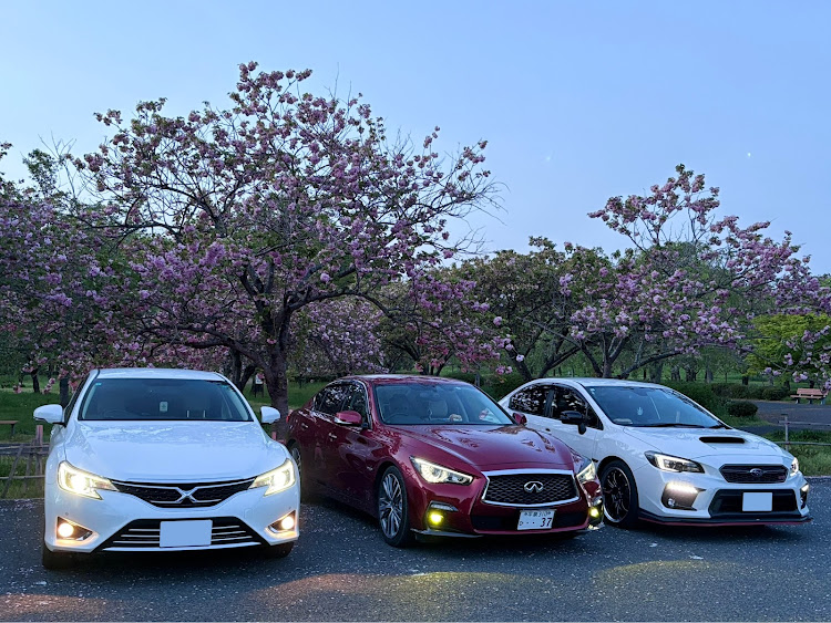 魚占🐟さんが投稿したWRX S4・マークX 130系・GW・東北カスタムカーショー2024・夢メッセみやぎに関するカスタム事例の投稿画像8枚目