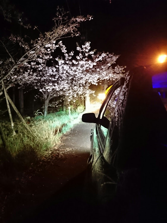 インプレッサ STIの夜勤終わりの至福ドライブ・星上山・桜残ってた・超ギリギリに関するカスタム事例の投稿画像5枚目