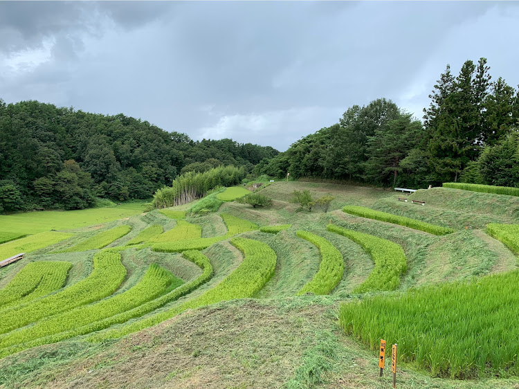 の投稿画像3枚目