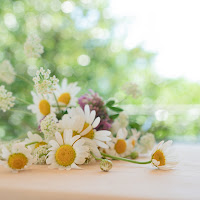 Bouquet di fiorellini di campo di 