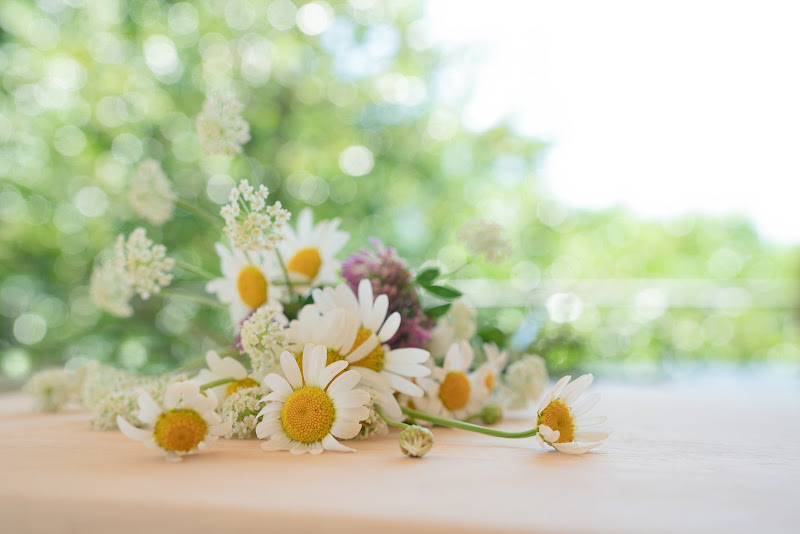 Bouquet di fiorellini di campo di mariateresatoledo