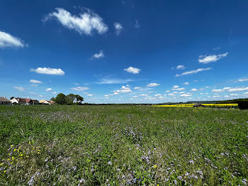 terrain à Septeuil (78)