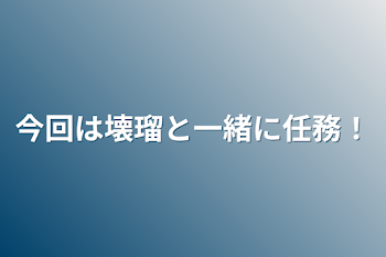 今回は壊瑠と一緒に任務！