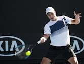 Steve Darcis laat kans op halve finale Delray Beach schieten door 'persoonlijke redenen'