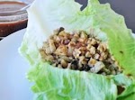 TSR Version of P. F. Chang's Chicken Lettuce Wraps ByTodd Wilbur was pinched from <a href="http://www.food.com/recipe/p-f-changs-chicken-lettuce-wraps-15865" target="_blank">www.food.com.</a>