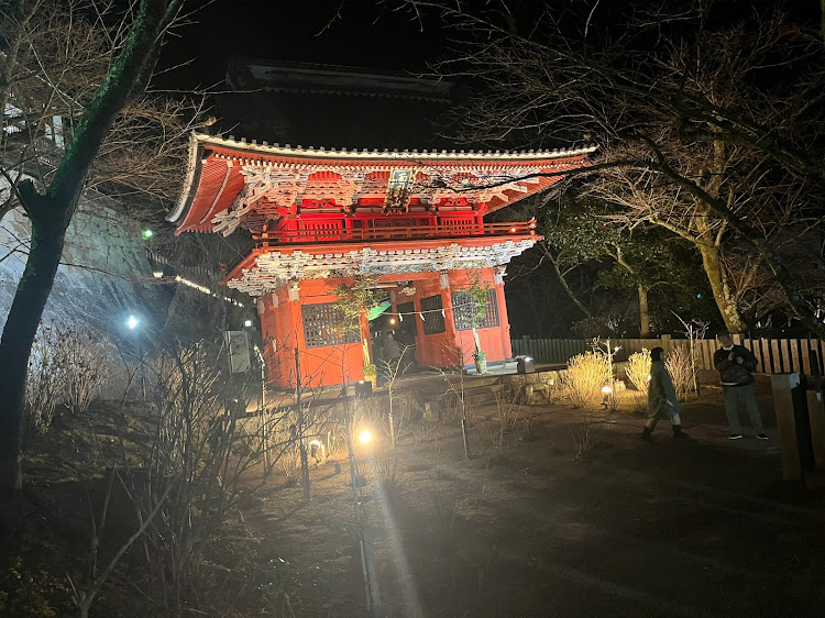 プリウスのプリウス50・プリウス乗りと繋がりたい・初詣⛩・ドライブに関するカスタム事例の投稿画像2枚目