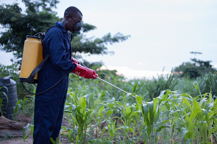 Kenya farmers predominantly use Highly Hazardous Pesticides (HHPs), despite their known detrimental effects on human health and the environment.